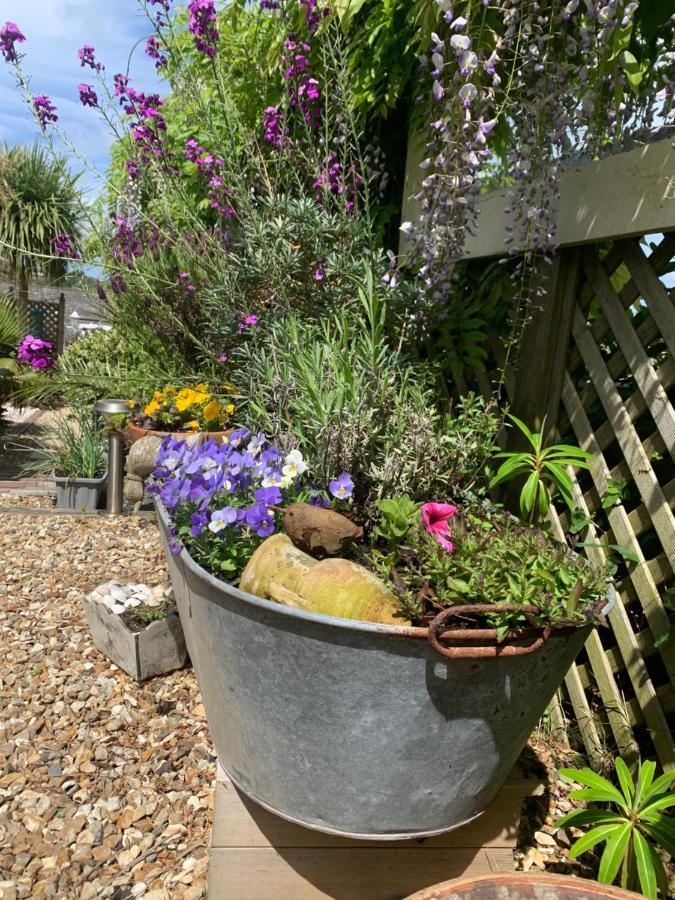 Stargazy Garden Apartment Hayle Exterior foto